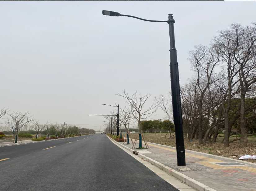 黄梅县上海综合杆 太阳能路灯工程